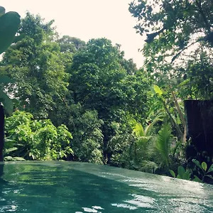 raka-rai-bungalows.ubudhotelsnow.com/